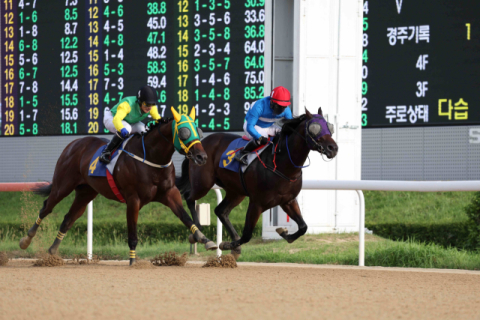 렛츠런파크 부산경남, 강서구청장배 대상경주 개최