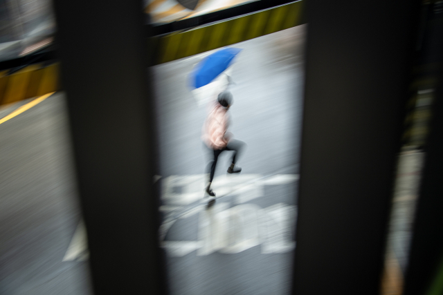 쁘리야김의 작품. 부산갤러리 제공