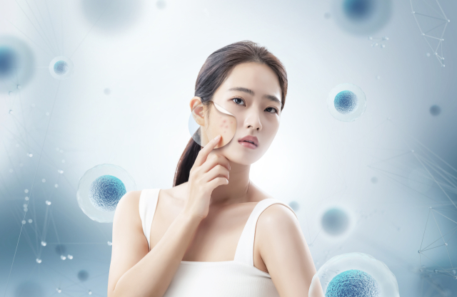 클립아트코리아