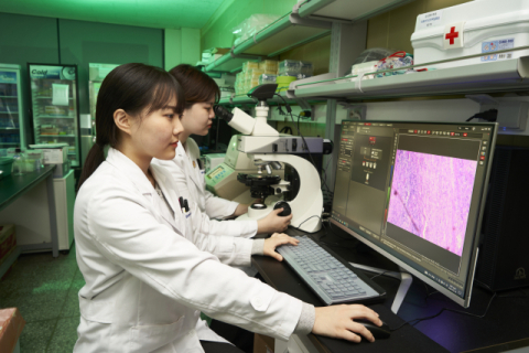 부산가톨릭대학교(총장 홍경완 신부)는 보건과학대학 임상병리학과는 총 8명의 재학생이 ‘2026년도 실험동물기술원 2급 자격증’ 필기실험과 2차 실기시험을 통해 최종 합격하는 성과를 거뒀다. 부산가톨릭대 제공