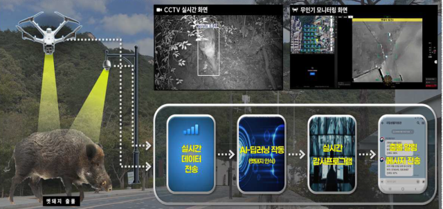 도시출몰 멧돼지, AI로 조기대응