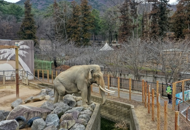 부산어린이대공원 동물원 전경. 김종진 기자 kjj1761@