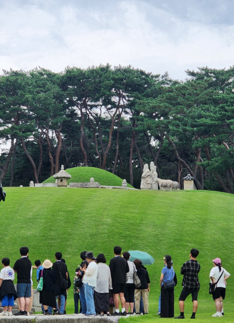 영릉 주변을 울창한 소나무 숲이 에워싸고 있다.
