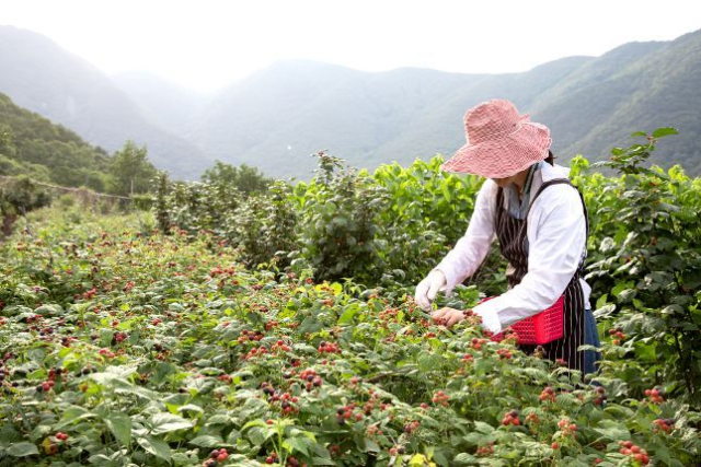 한농대 산림·조경 예비졸업생 창업 돕는다...임업진흥원, 현장 실무교육 - 뉴스 썸네일 이미지