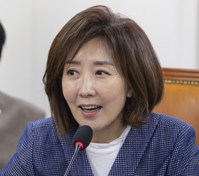 국민의힘 나경원 의원. 연합뉴스