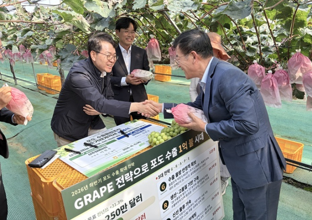 농림축산식품부와 경상북도는 10월 15일, 대표 포도 주산지인 경북 상주의 포도 농장(도영농원)에서 ‘포도 수출 1억 달러 도약 현장 결의 행사’를 열었다. 농식품부 제공