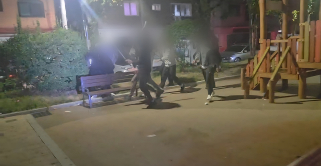 한밤중 경기도 평택시의 한 공원에서 외국인 여러 명이 패싸움을 벌여 경찰이 2명을 체포했다. 3일 오후 11시 30분께 평택시 포승읍 노상에서 