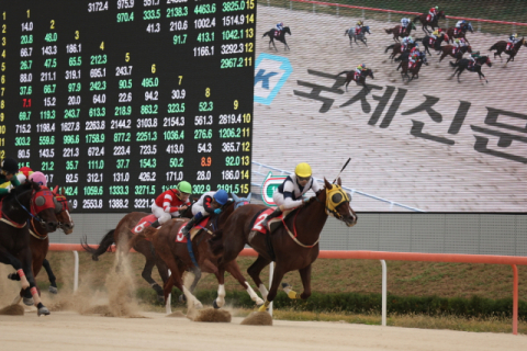 국제신문배 출전마 강서자이언트. 렛츠런파크 부산경남 제공