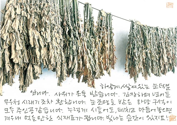 1번 기사 이미지